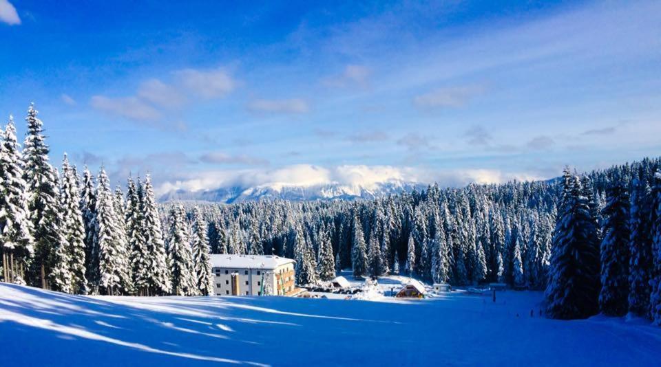 Apartment Ski Sara Pokljuka Bled Luaran gambar